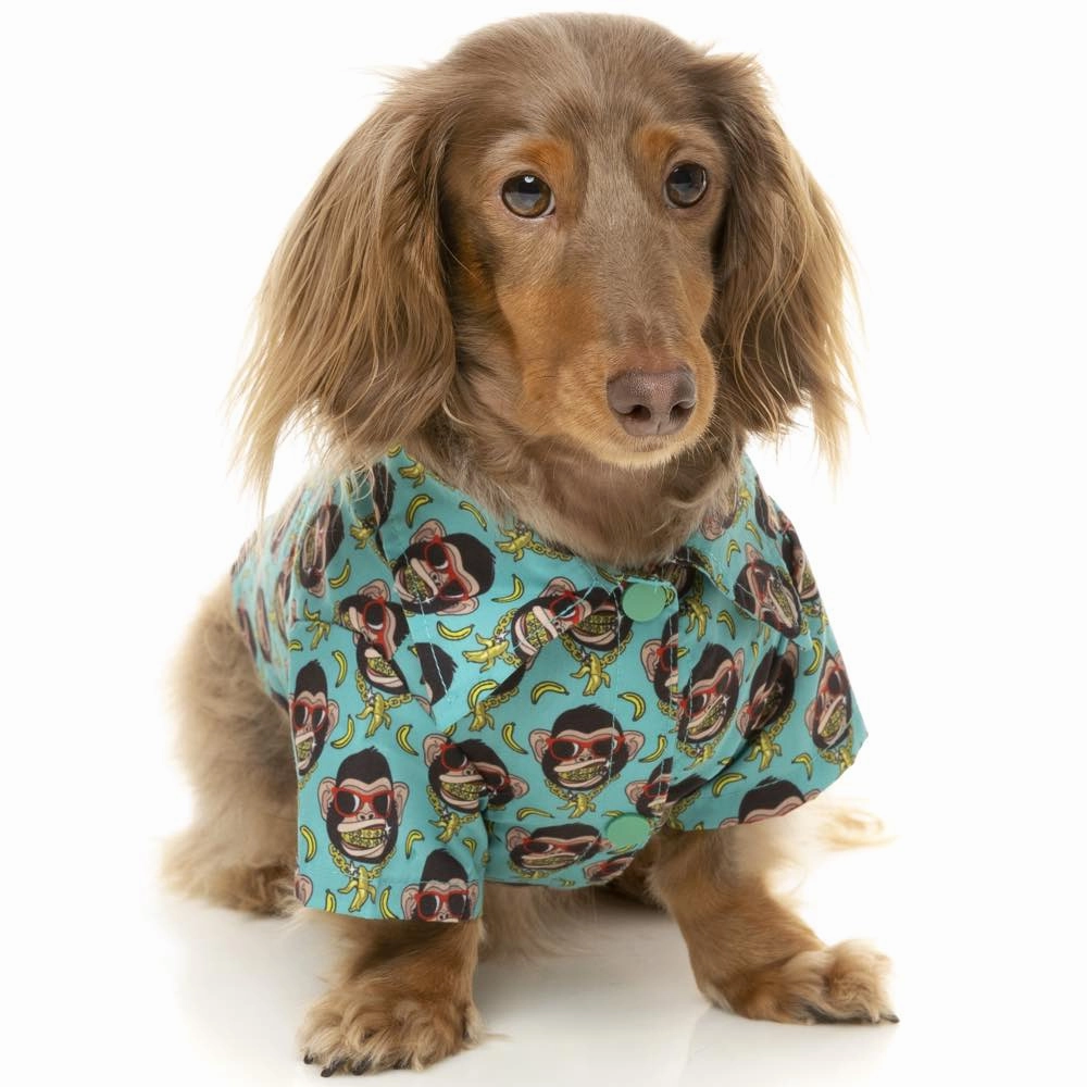 10% OFF: FuzzYard Button Up Shirt For Dogs (Gor-illz)
