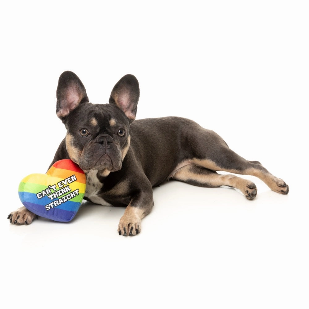 15% OFF: FuzzYard Can't Think Straight Dog Toy
