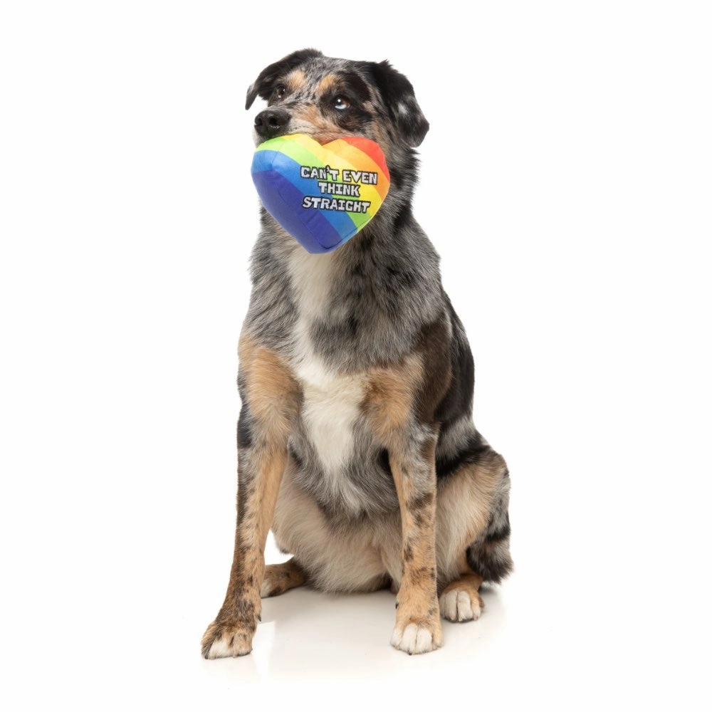 15% OFF: FuzzYard Can't Think Straight Dog Toy