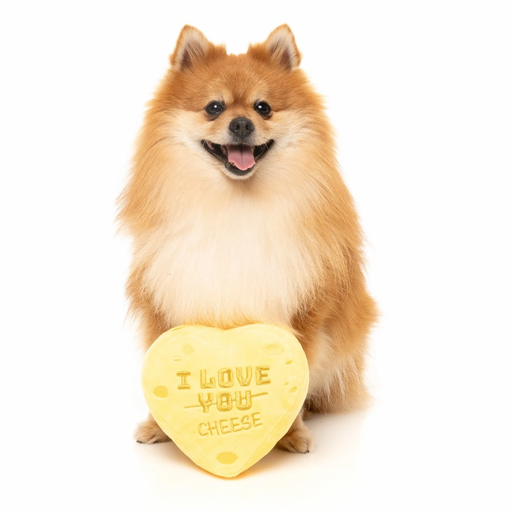 15% OFF: FuzzYard Cheese Heart Dog Toy