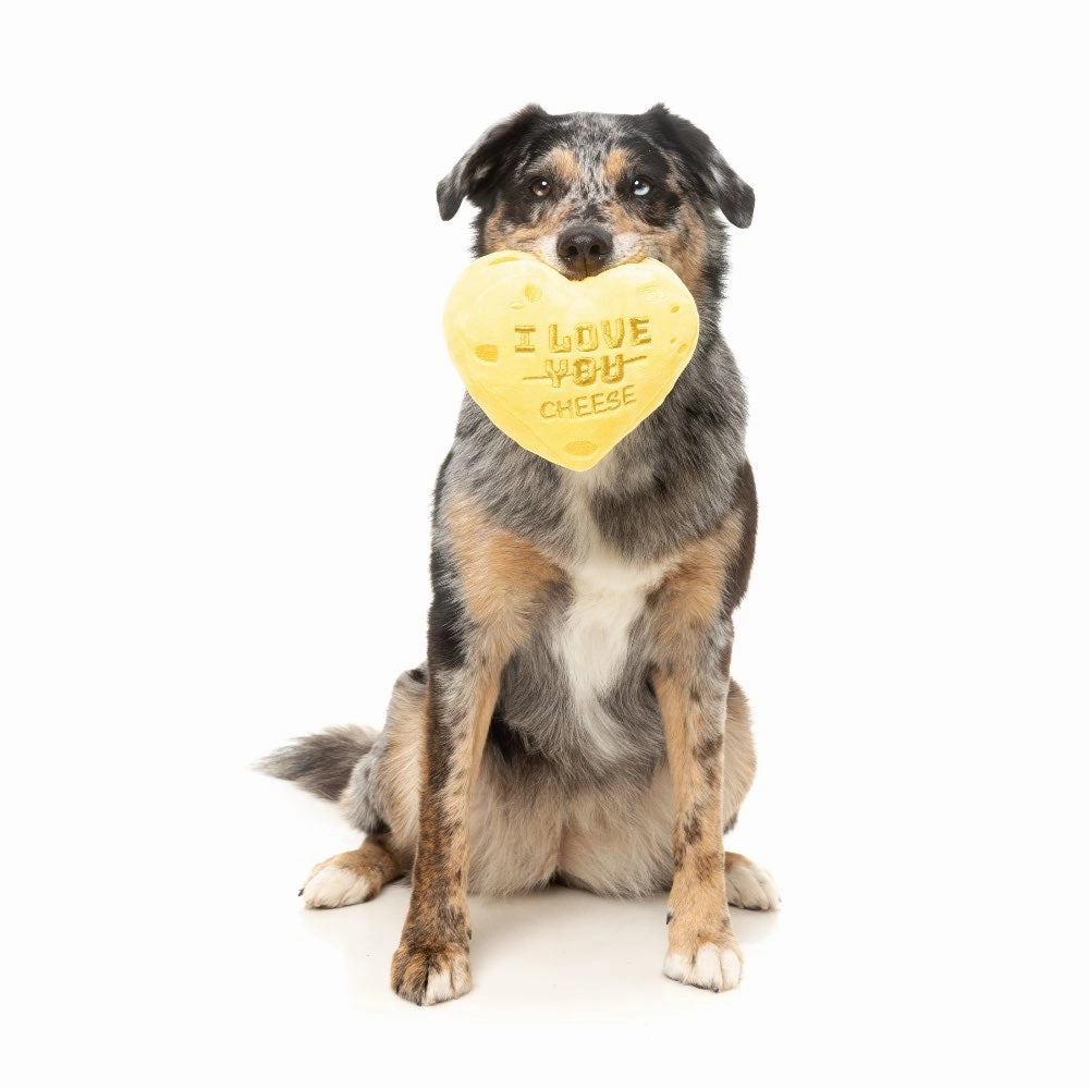 15% OFF: FuzzYard Cheese Heart Dog Toy