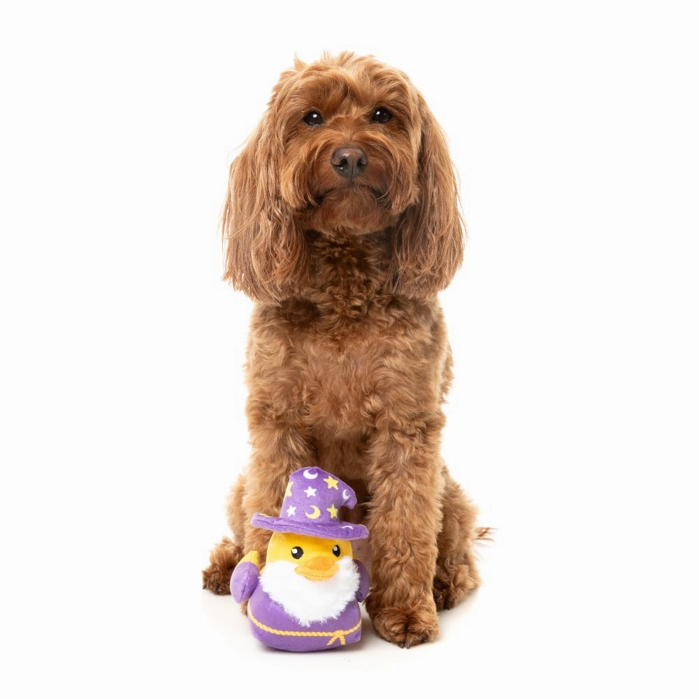 15% OFF: FuzzYard Sirius Quack S Dog Toy