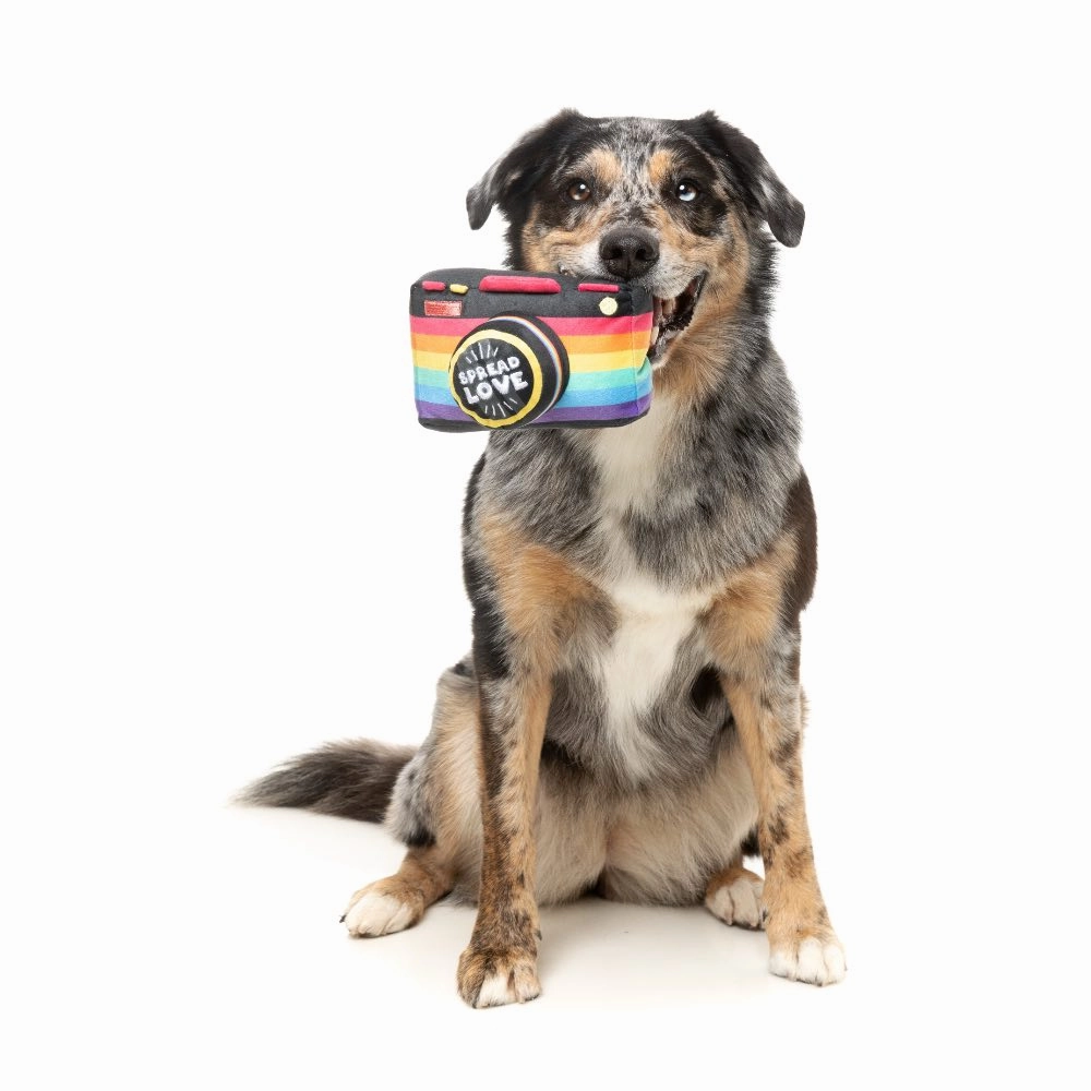15% OFF: FuzzYard Spread Love Camera Dog Toy
