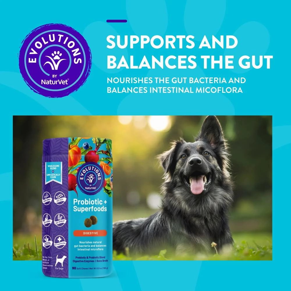 15% OFF: NaturVet Evolutions Probiotic   Superfoods Supplement Chews For Dogs 90ct