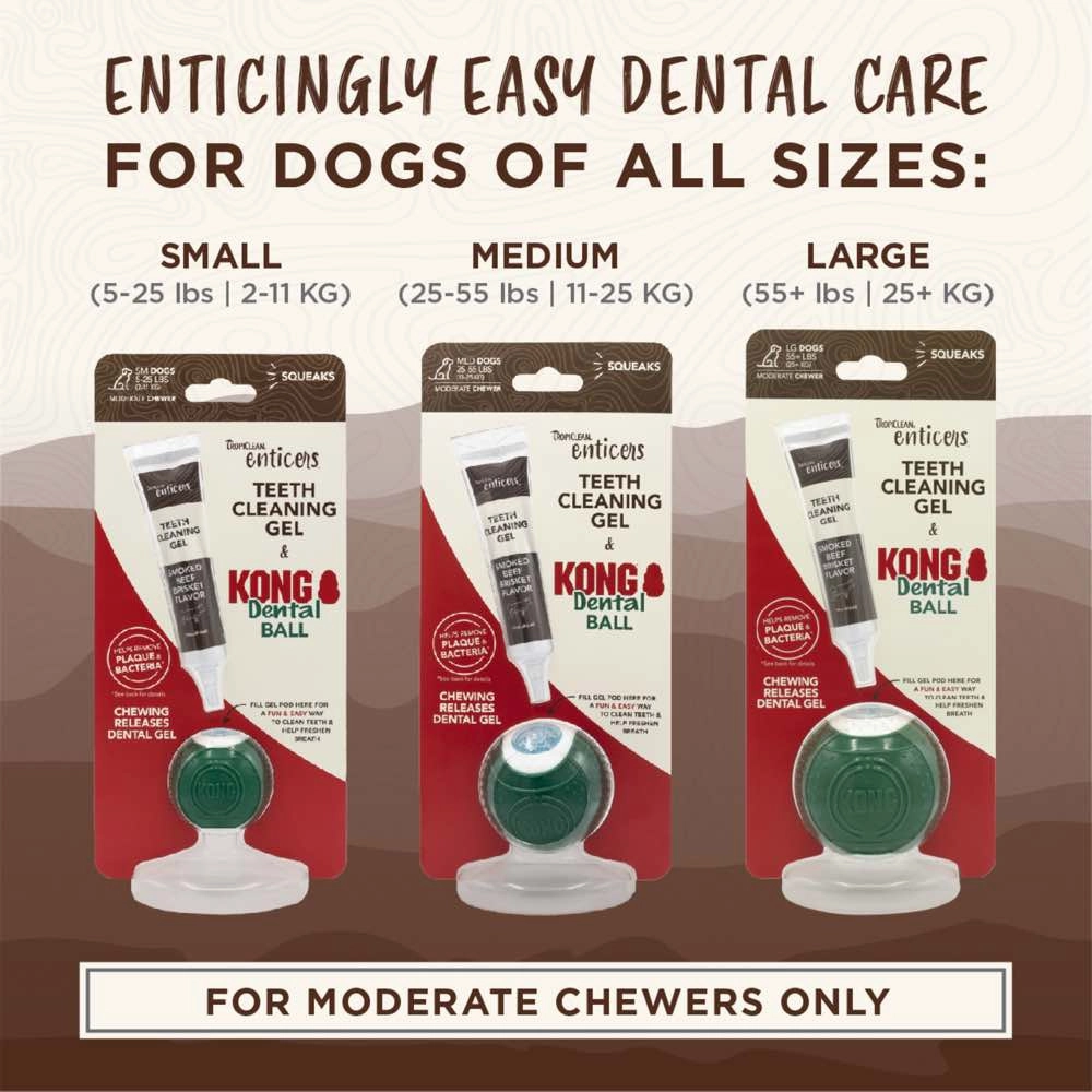 15% OFF:TropiClean Enticers Teeth Cleaning Gel & Kong Dental Ball Dog Toy (Medium)