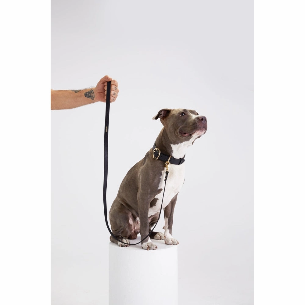 30% OFF: Moshiqa Balley Leather Dog Leash (Black)
