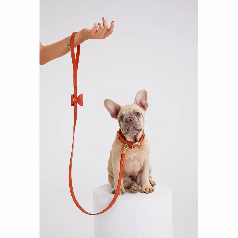 30% OFF: Moshiqa Bisou Leather Dog Leash (Black)