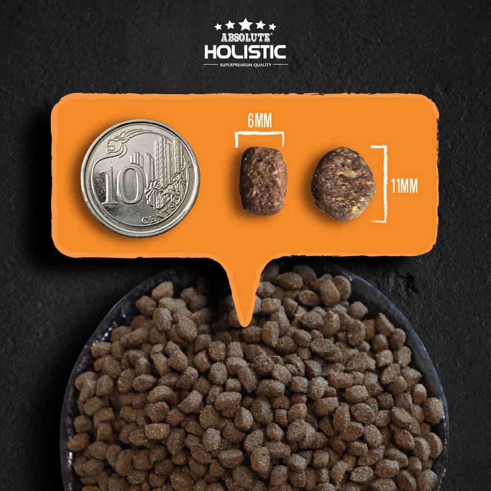 35% OFF: Absolute Holistic Kibbles In The Bag Salmon & Pork Small Bites Dry Dog Food