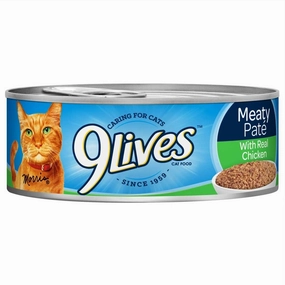 Cat  General