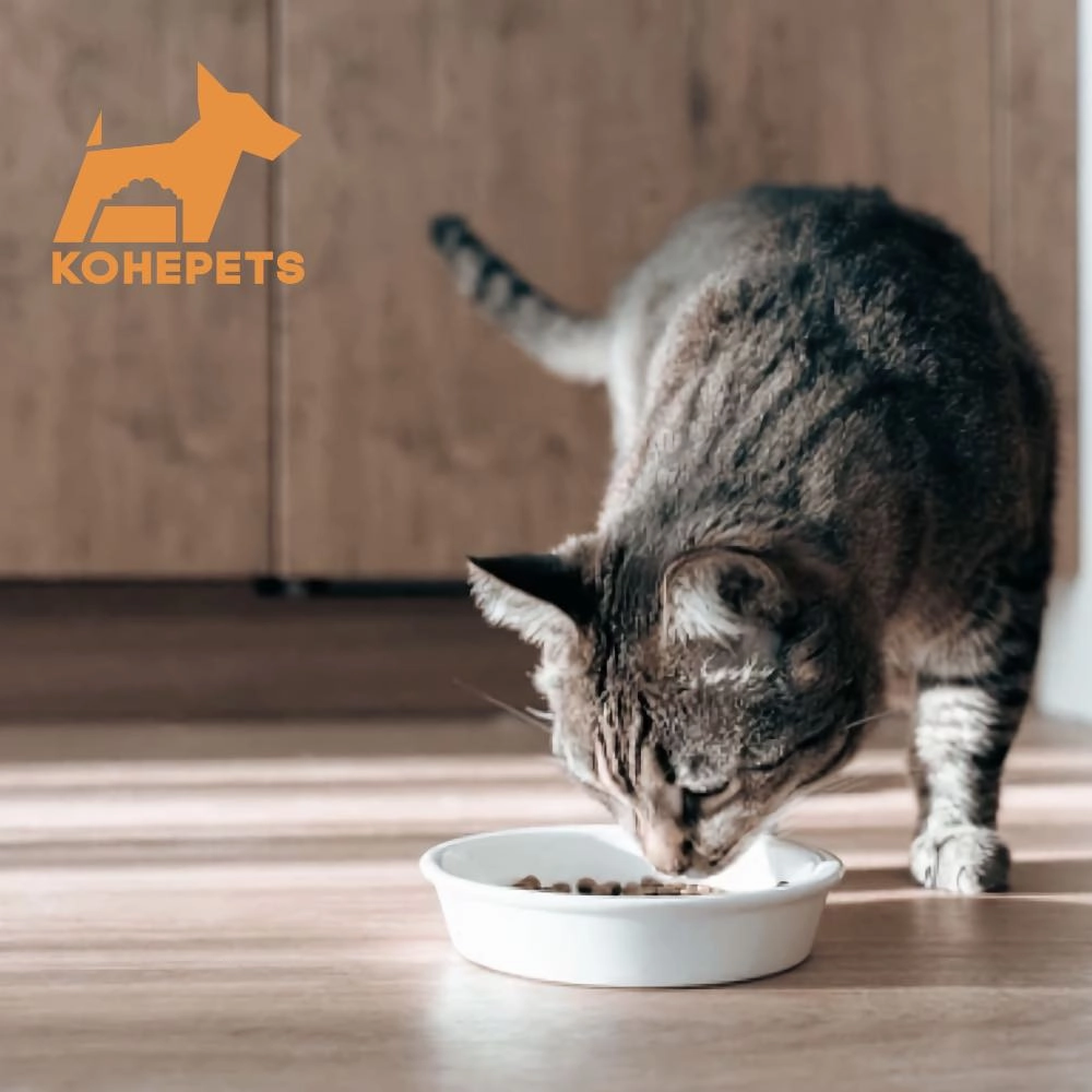 $10 OFF 24 cans: Aixia Kuro-Can Mini Tuna & Skipjack Tuna with Dried Skipjack Canned Cat Food 80g x 24