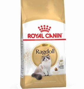 'BUNDLE DEAL': Royal Canin Ragdoll Adult Dry Cat Food 2kg kitten food wet kitten food kitten milk kitten treats grain free kitten food