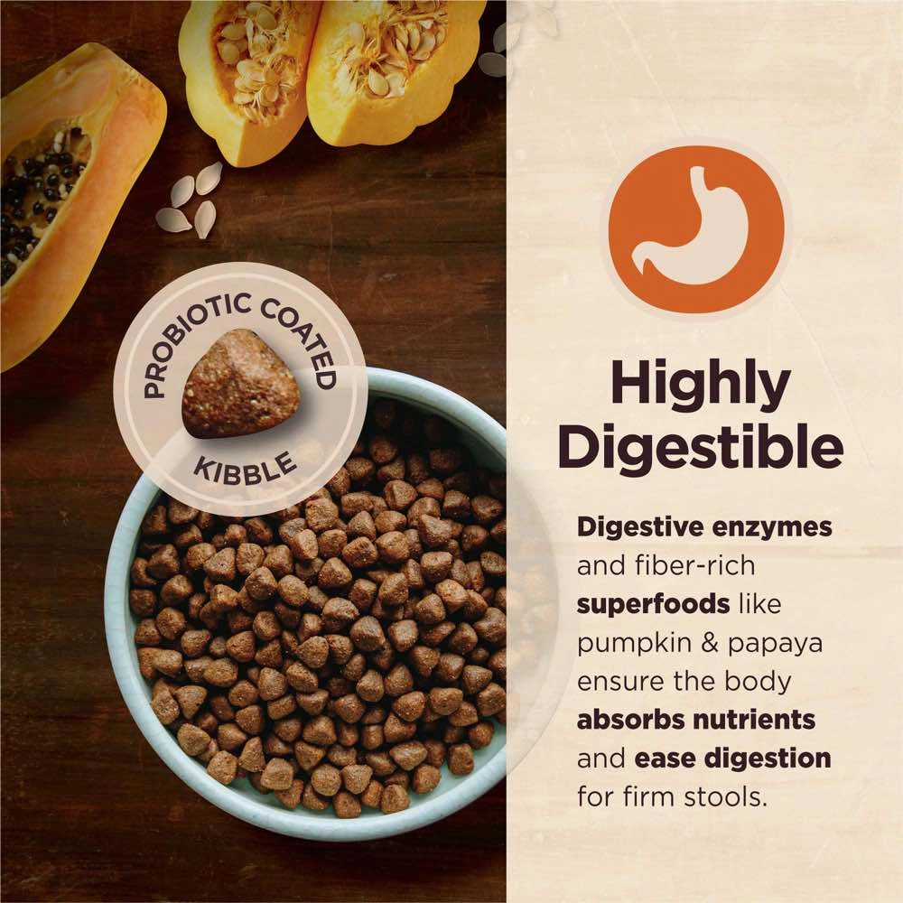'FREE FD TREATS w 22lb': Wellness CORE Digestive Health Whitefish & Brown Rice Adult Dry Dog Food