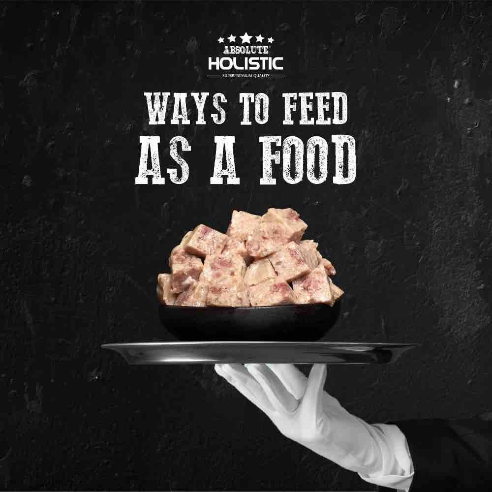 Absolute Holistic Salmon Complete & Balanced Meaty Loaf Wet Tray Dog Food 100g