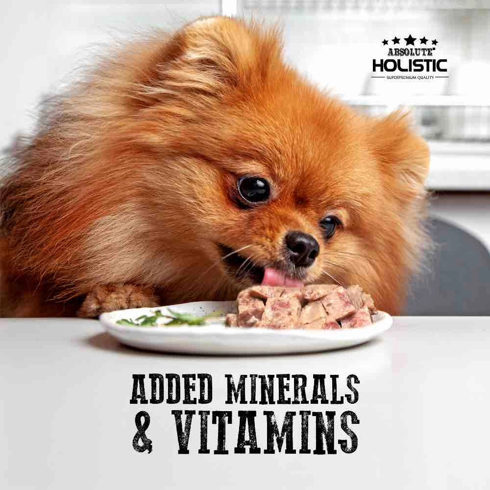 Absolute Holistic Salmon Complete & Balanced Meaty Loaf Wet Tray Dog Food 100g