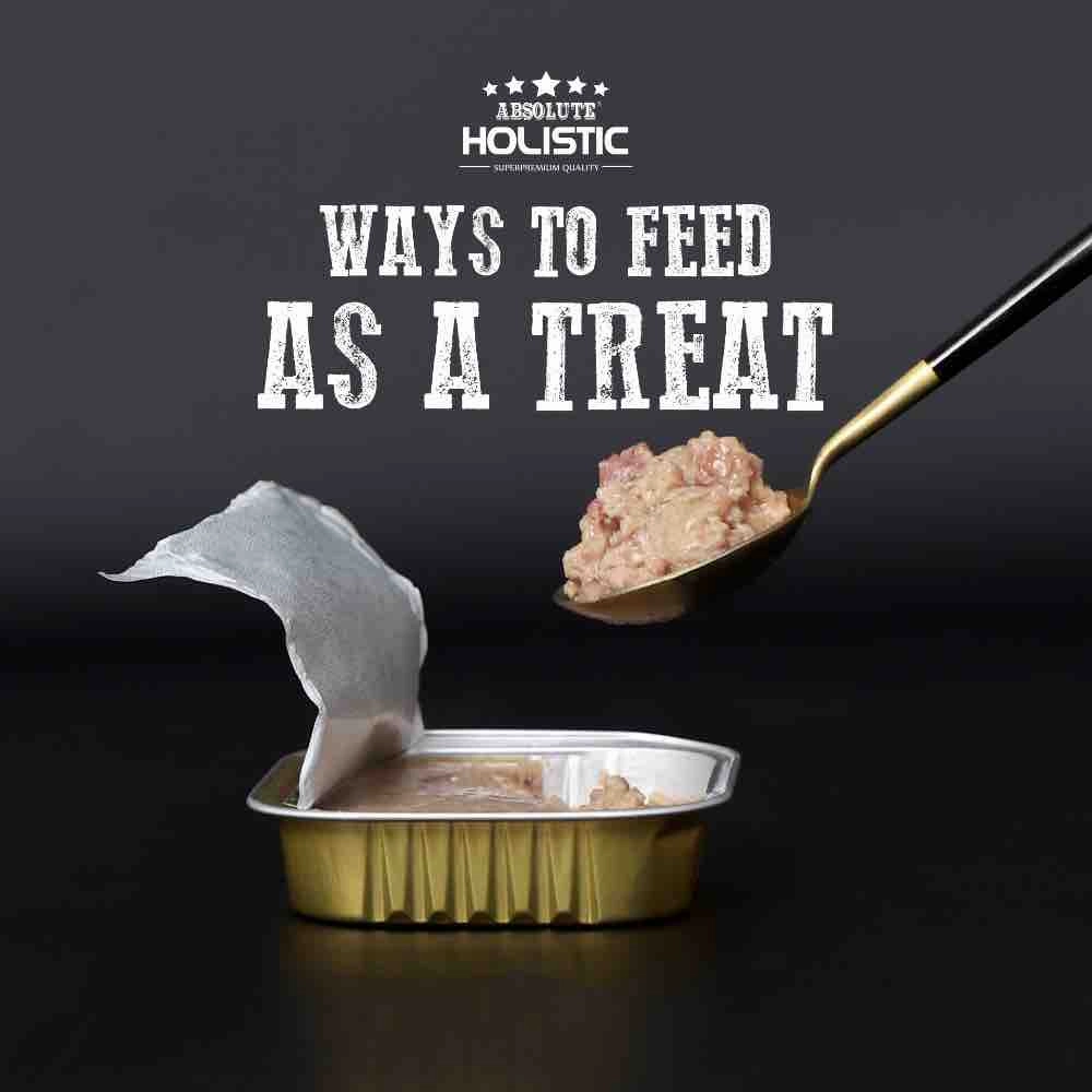 Absolute Holistic Tuna Complete & Balanced Meaty Loaf Wet Tray Dog Food 100g