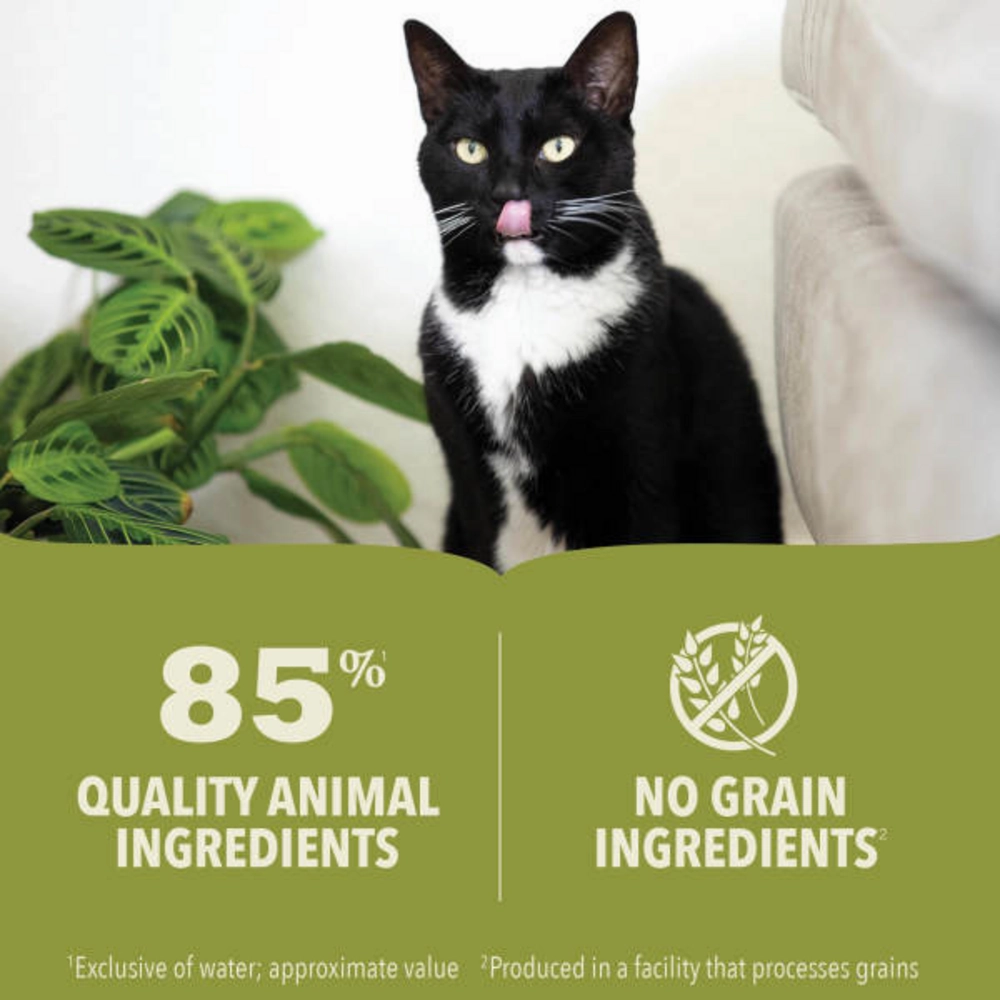ACANA Beef, Chicken   Tuna Recipe in Bone Broth Wet Cat Food