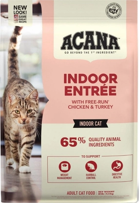 Cat Dry Food
