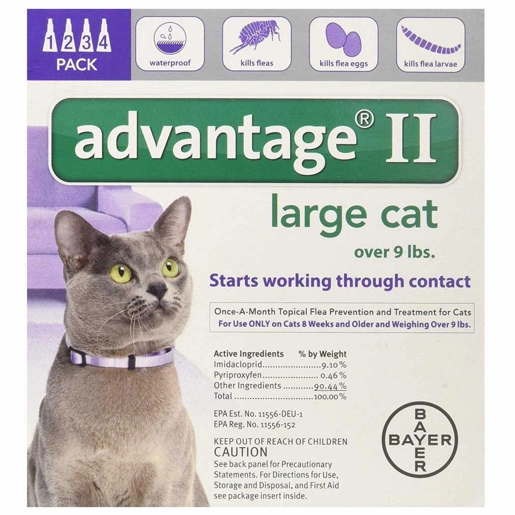 Advantage II for Large Cats 9  lb. 4 pack kitten treats kitten wet food kitten brush kitten bottle kitten harness