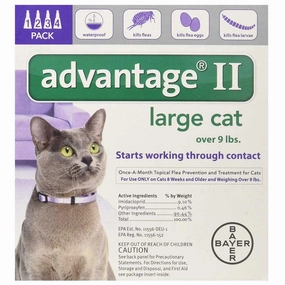 Advantage II for Large Cats 9  lb. 4 pack kitten treats kitten wet food kitten brush kitten bottle kitten harness