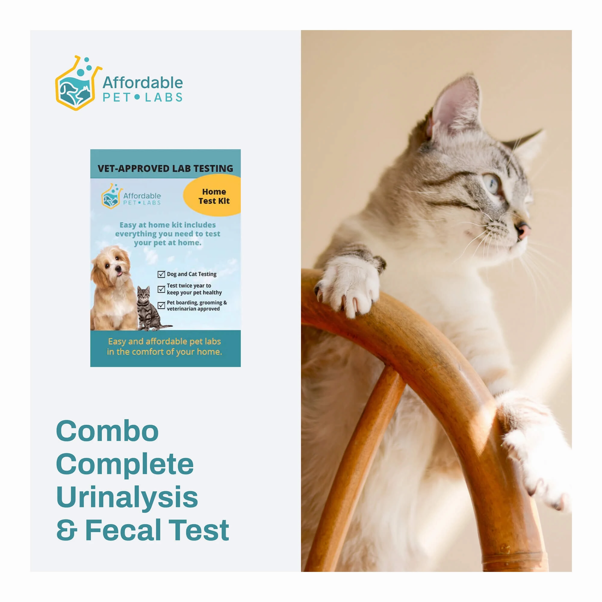 Affordable Pet Labs - Combo Complete Urinalysis & Fecal Test For Cats, Easy Home Kit dog plush squeaky toy interactive plush toy plush rope toy tough plush dog pillow toy