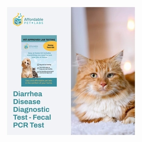 Affordable Pet Labs - Diarrhea Disease Diagnostic Test - Fecal PCR Test For Cats, Easy Home Kit cat scratchers cat towers cat window perch cat heating pad cat calming spray
