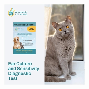 Affordable Pet Labs - Ear Culture and Sensitivity Diagnostic Test For Cats, Easy Home Kit dog plush squeaky toy interactive plush toy plush rope toy tough plush dog pillow toy