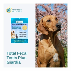 Affordable Pet Labs - Total Fecal Tests Plus Giardia For Dogs & Cats, Easy Home Kit cat scratchers cat towers cat window perch cat heating pad cat calming spray