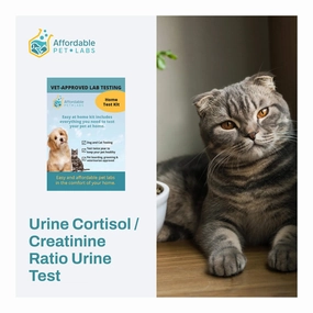 Affordable Pet Labs - Urine Cortisol / Creatinine Ratio Urine Test For Cats, Easy Home Kit cat scratchers cat towers cat window perch cat heating pad cat calming spray