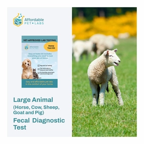 Affordable Pet Labs Large Animal (Horse, Cow, Sheep, Goat and Pig) Fecal Diagnostic Test, Easy Home Kit pet shampoo conditioner combo pet detangler pet skin care flea shampoo