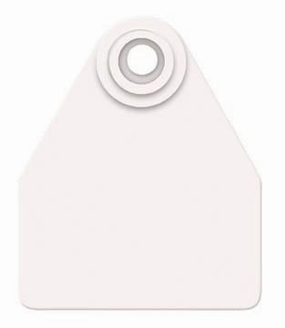 Allflex Global Blank 2-Piece Tags, 25 ct
