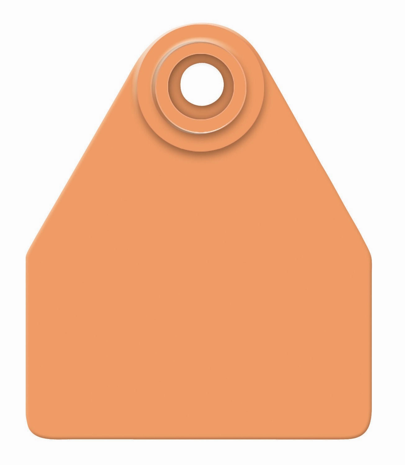 Allflex Global Blank 2-Piece Tags, 25 ct