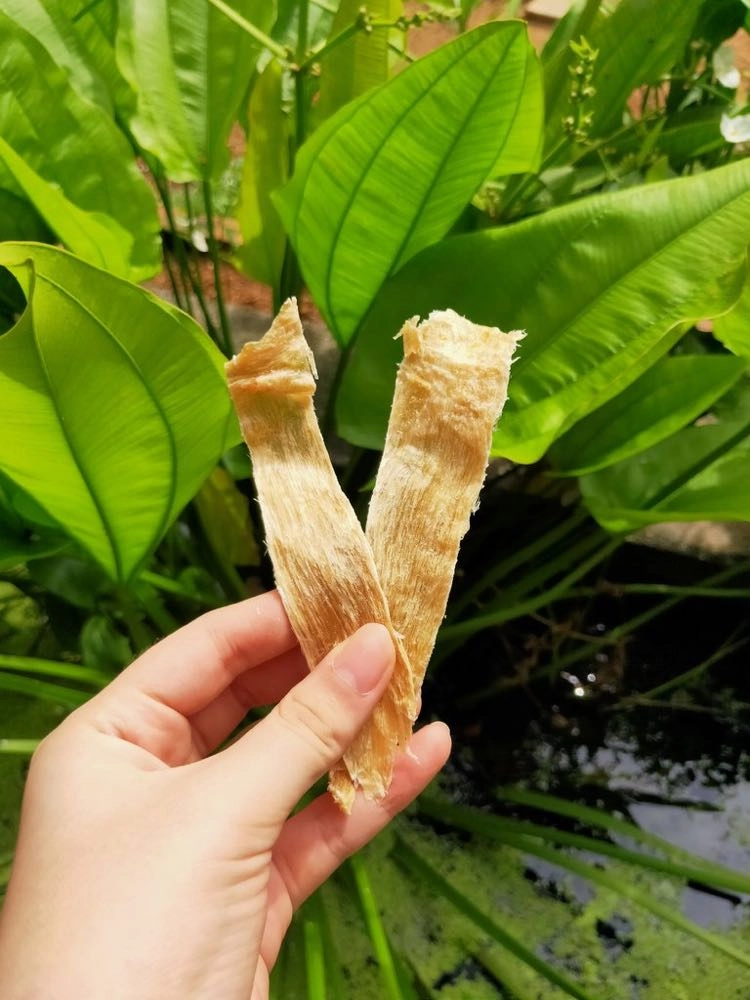 Alpha Origin Crocodile Jerky Grain-Free Dog Treats 80g