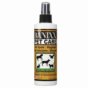 Banixx Travel Size kitten treats kitten wet food kitten brush kitten bottle kitten harness