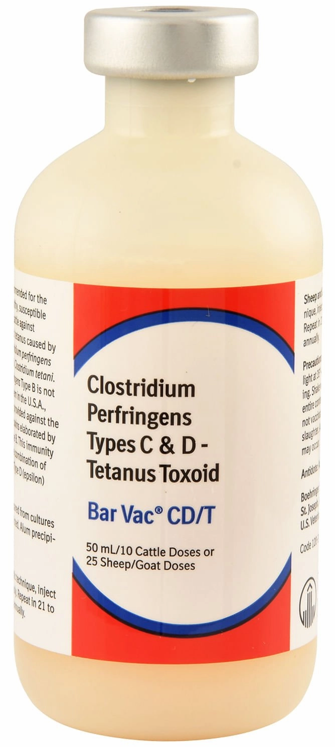 Bar Vac CD/T Vaccine for Cattle, Sheep, & Goats sheep feed sheep mineral sheep hay sheep pellets sheep salt block