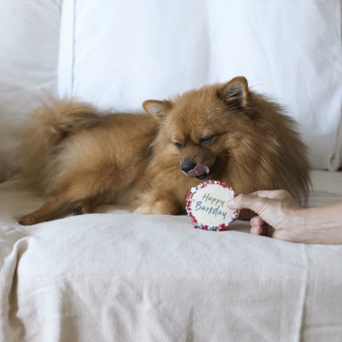 Barney's Barkery Dog Birthday Cake - Red