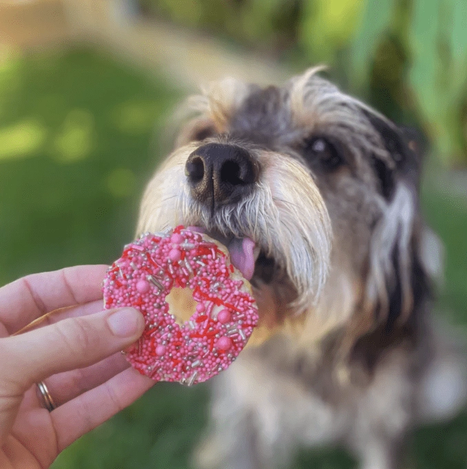 Barney's Barkery Dog Donut Biscuit - Pink