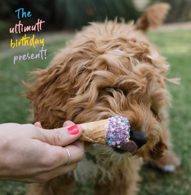 Barney's Barkery Ice Cream Cone - Purple
