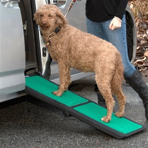 Bi-fold Travel Lite Pet Ramp With SupertraX in Black-Green
