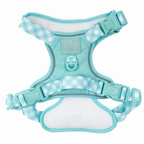 Big & Little Dogs All Rounder Harness - Aqua small animal food rabbit pellets hamster food guinea pig snacks small pet mix