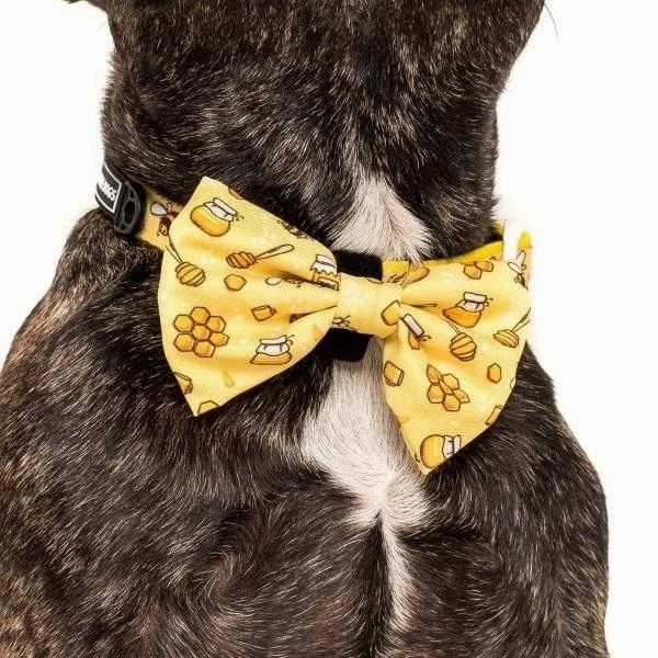 Big & Little Dogs Bee-Hiving Collar & Bow Tie