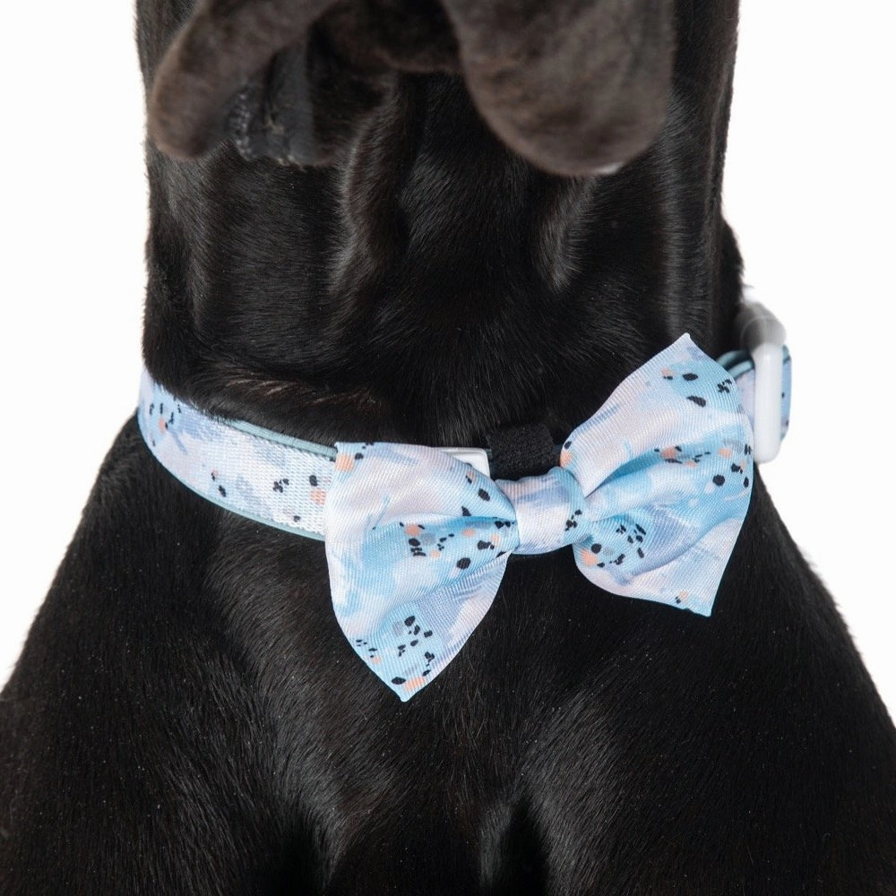 Big & Little Dogs Blue Splatter Terrazzo Collar & Bow Tie