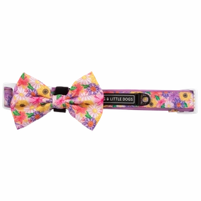 Big & Little Dogs Collar & Bow Tie: Spring Fling small animal food rabbit pellets hamster food guinea pig snacks small pet mix