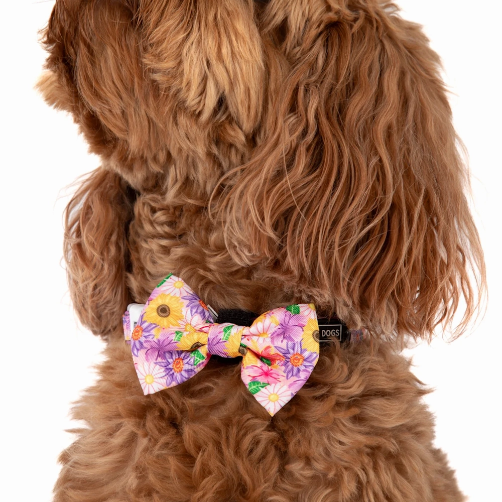 Big & Little Dogs Collar & Bow Tie: Spring Fling