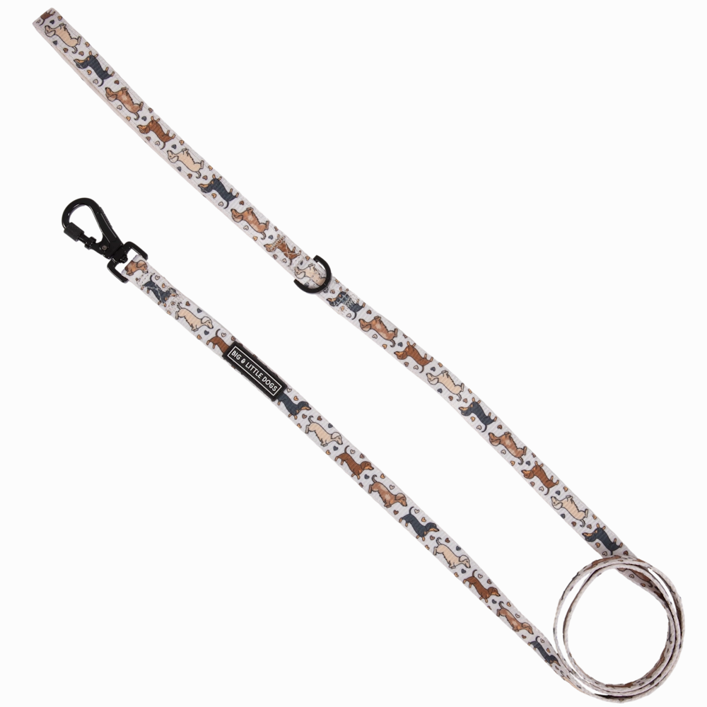 Big & Little Dogs Dashie Lovers Dog Leash small animal food rabbit pellets hamster food guinea pig snacks small pet mix