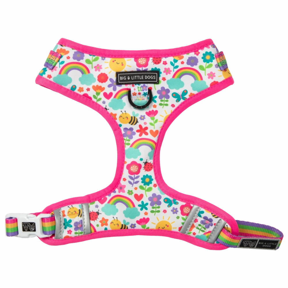 Big & Little Dogs Follow The Rainbow Adjustable Harness small animal food rabbit pellets hamster food guinea pig snacks small pet mix
