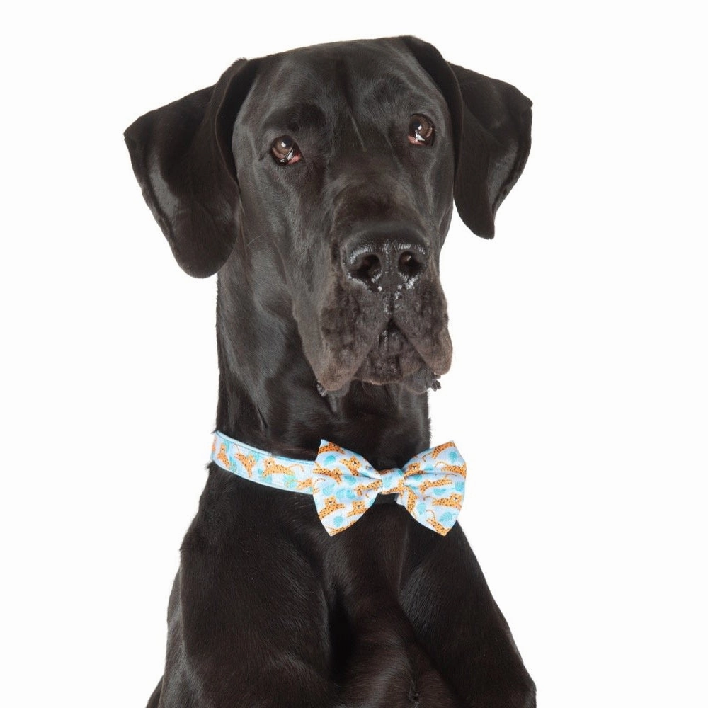 Big & Little Dogs Go Get Em' Tiger Collar & Bow Tie