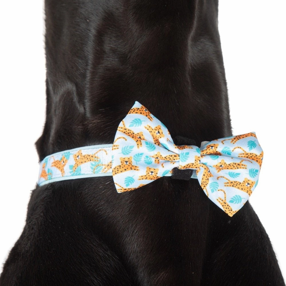 Big & Little Dogs Go Get Em' Tiger Collar & Bow Tie
