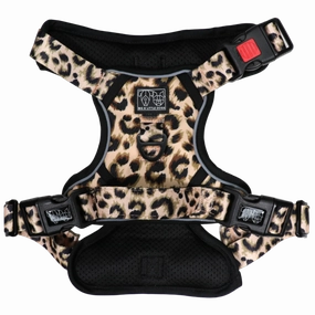 Big & Little Dogs Luxurious Leopard All Rounder Harness small animal food rabbit pellets hamster food guinea pig snacks small pet mix