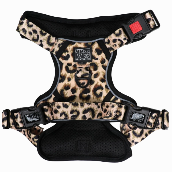 Big & Little Dogs Luxurious Leopard All Rounder Harness small animal food rabbit pellets hamster food guinea pig snacks small pet mix