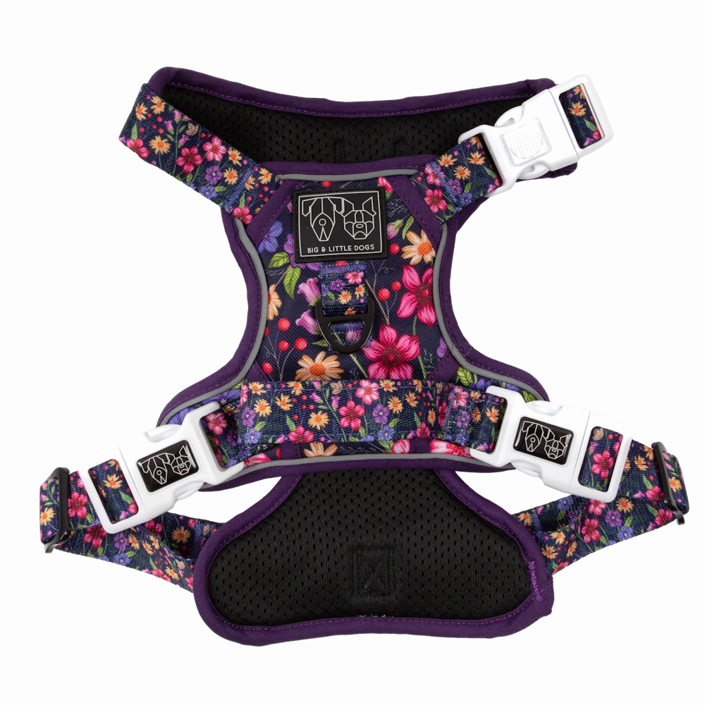Big & Little Dogs Petal Paradise All Rounder Harness small animal food rabbit pellets hamster food guinea pig snacks small pet mix